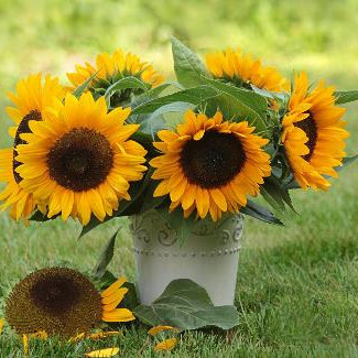 人到六十记住这十句话,人到六十最好的十句话