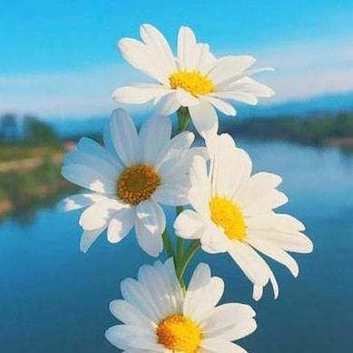 老了请远离四种人，人老了远离哪几种人