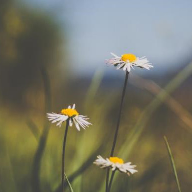 75岁以上找老伴好吗，75岁老头还想找老伴是什么心态