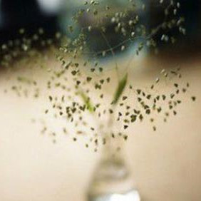 婆婆不尊重隐私怎么办,婆婆不注重夫妻隐私怎么办