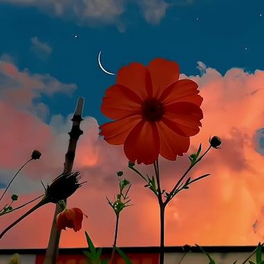 男女对视超过5秒意味什么,对视多长时间是喜欢