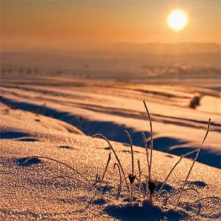 男人出轨被发现后心理,男人精神出轨被发现后心理