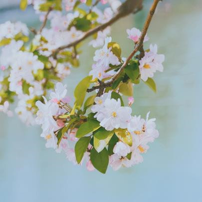 七年之痒夫妇怎么相处好，怎么避免七年之痒