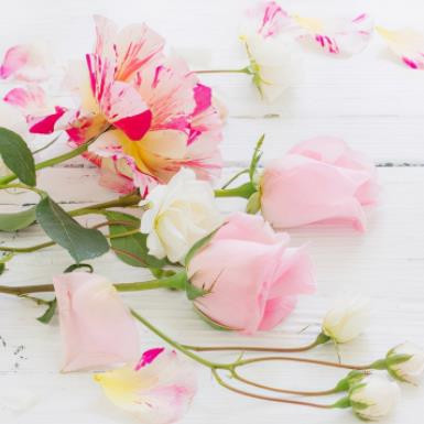 婚姻最深度的十句话,婚姻本质十句话