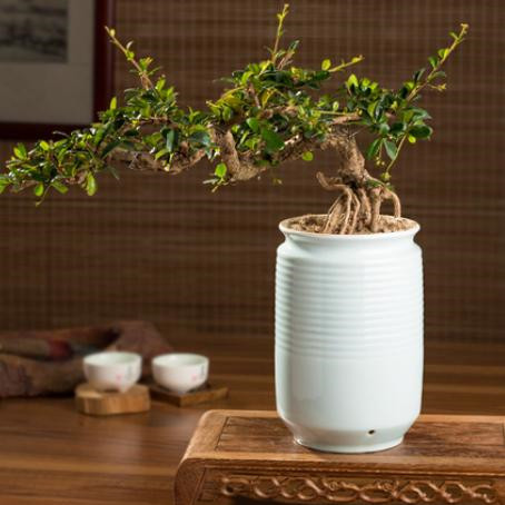 解决尬聊的3种方法,如何摆脱尴尬的相处