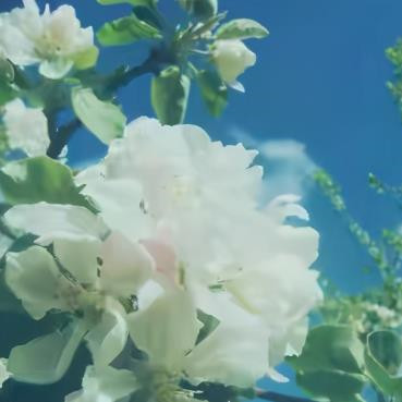 人到中年怎么打破婚姻危机的局面，中年人如何维系婚姻最好