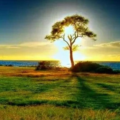 人过70岁最难熬两个坎,70岁后最难熬这三个坎