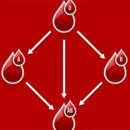 蚊子喜欢什么血型，o型血最吸引蚊子吗