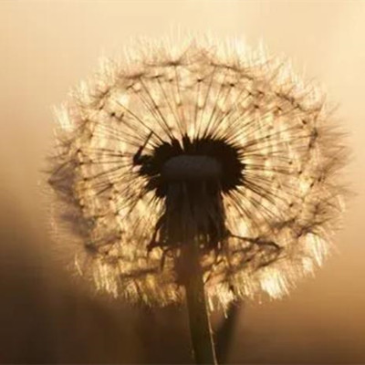 有过隔阂的婆媳还能相处得好吗，婆媳矛盾影响到夫妻关系如何改善