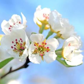 中年女人最难过的四个坎，五十岁女人经不起这四个劫难