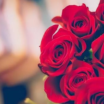 婚姻三观是什么,婚姻三观是什么意思