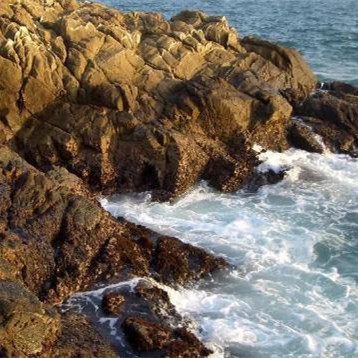 为什么容易翻脸的人不能深交,远离那些翻脸比翻书还快的人