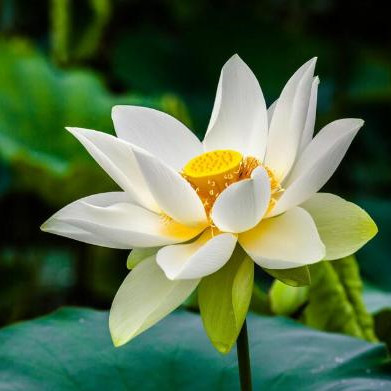 五十岁之后做好这几件事余生才有幸福，这四件事做好才会是余生的保障