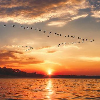 男人不敢告别却钟情你的细节，男人钟情你会有什么细节表现