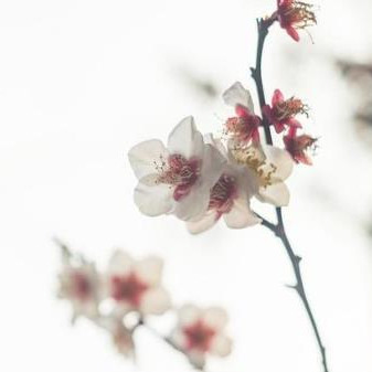 人到六十想要不孤独终老做哪四件事，怎么做才能够不孤独终老