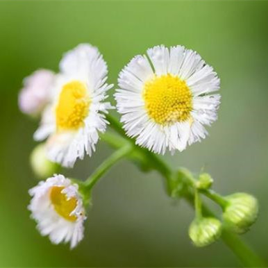 朋友突如其来的问候是什么意思，为什么朋友会突然问候自己
