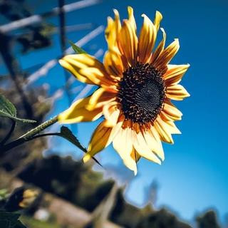 晚年的生活质量取决于什么,生活质量到底和什么有关