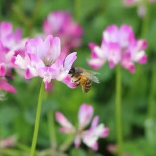 成年后要做好四件事情，在成年之后做好这几件事会更成功