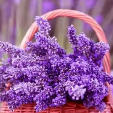 为何不可找丧偶之妻,找丧偶之妻要注意什么