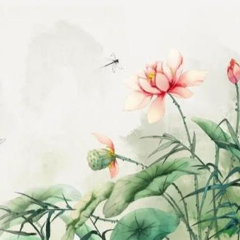 中年夫妻间真正需要的几样东西,夫妻之间到底需要什么维持感情