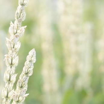 为什么有娃的前三年离婚率高,婚后生了孩子更容易离婚吗