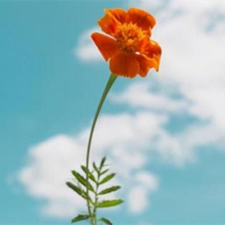 人生低谷负债累累怎么走上岸，人负债累累怎么面对生活