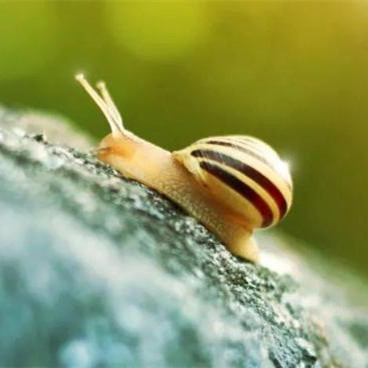 怎么判断女婿会不会对女儿好，结婚前怎么给女婿立威