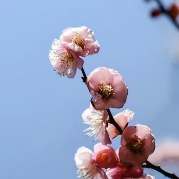 夫妻断联多久合适,夫妻断联了还能复合吗