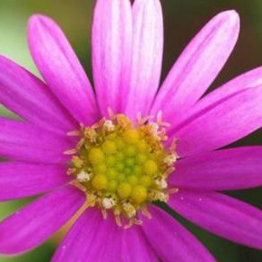 为什么夫妻间最好不要长期分开，夫妻长期不见面容易出轨吗