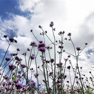 男人喜欢被女人捧脸吗,男生接吻时为什么喜欢捧女生的脸