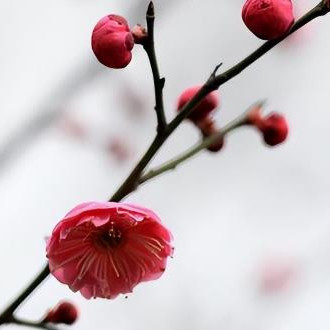 中老年人如何保持愚己精神