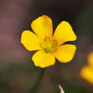 退休后最忌讳三件事，退休生活有三种忌讳别不当回事