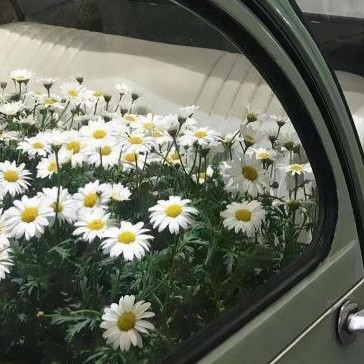 射手座喜欢肢体接触吗，射手男会主动跟你有肢体接触吗