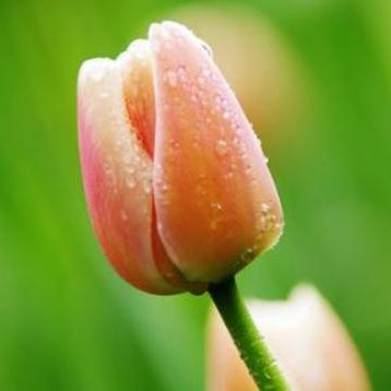 人到五十五会有哪5苦,五十五怎么顺利经历5苦