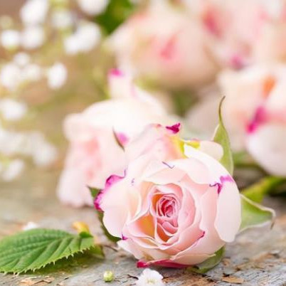 男人11种肢体动作表达的情感