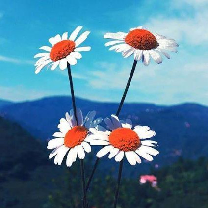 女性80岁可以找老伴吗，80岁以上老人找老伴好吗