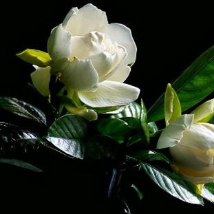 怎么结束一段不正常的关系，不正常的关系到底该不该断