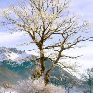 天天骂仇人仇人有感应吗，天天狠骂一个人对方有感应吗