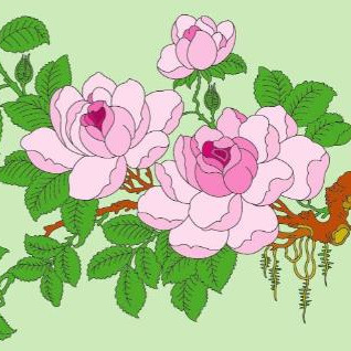 马的贵人是谁，马的贵人有哪几个