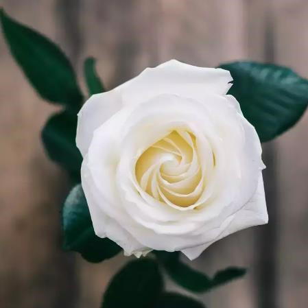 人生酸甜苦辣的感悟,70后人到中年的感悟