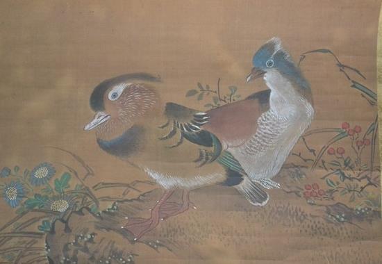 清朝鸳鸯图片大全