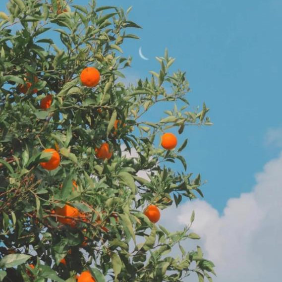 女人身体能承受多少压力，女性在生活中能承受多少压力