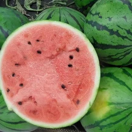 霜降不宜吃的三种东西,霜降什么东西不能吃