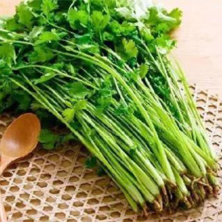 三种人不能吃香菜,什么人不能吃香菜