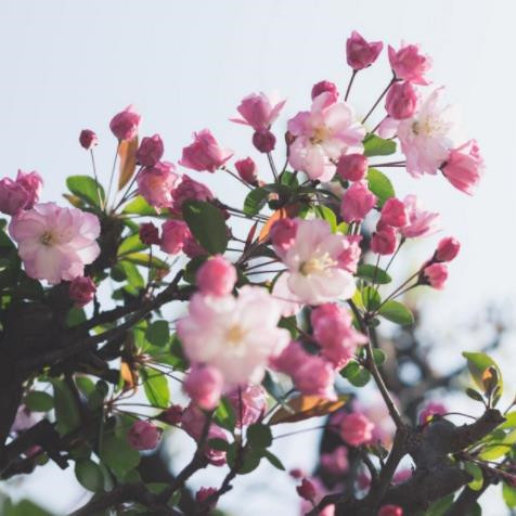 儿子糟蹋妈妈的化妆品怎么办,孩子用妈妈护肤品有危害吗