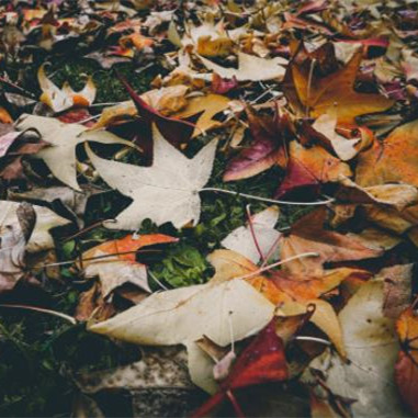 人死后会和死去的亲人重逢吗,人死了会和死去的亲人见面么