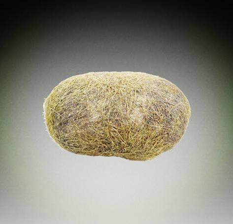 天然猪砂图片大全，真正的猪砂图片