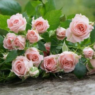 男人爱你的14个细节