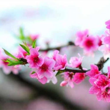 妻子太漂亮出轨多次丈夫不离婚的原因