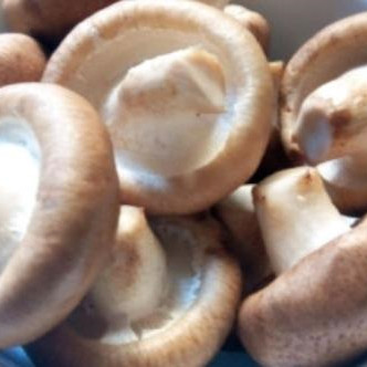 香菇为什么要焯水，香菇配什么菜炒好吃